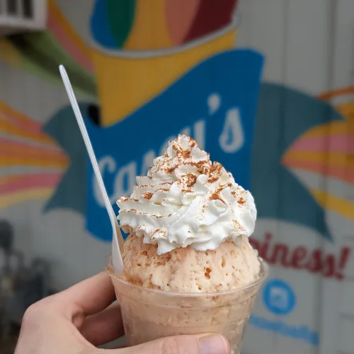 Dessert-style snowball topped with whipped cream